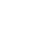 Evolution games at Royal Spinz Casino